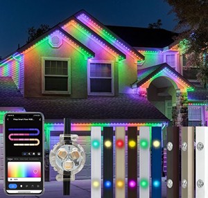 12V 24V House Permanent Holiday Christmas Lights Smart Controller IP68 Waterproof Outdoor Led Point Light