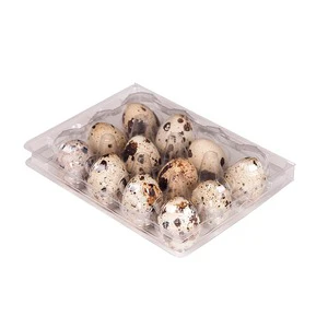 Wholesale 12 Cells PET Transparent Plastic Blister Quail Egg Tray Disposable Chicken Quail Egg Packaging With Lid