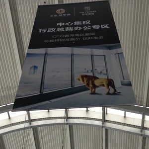 Double Side Printed Large Hanging Advertising Banner