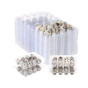 Wholesale Supplier PET Clear Plastic Quail Egg Packing Box Blister Quail Egg Tray Container Disposable Transparent Egg Carton