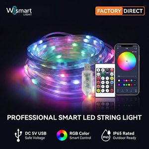 5V USB Smart RGB Dream Color LED Fairy String Lights 5M IP65 Waterproof App Control Music Sync Copper Wire Christmas Decoration