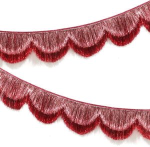 2 Layers Event Party Fringe Banner Set with Scallops Design for Wedding Decoration & Bachelorette Decorations