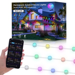 Twinklight Decorative Waterproof 36V LED RGB Smart Permanent Holiday Lights Outdoor Pixel String LED Point Light Source