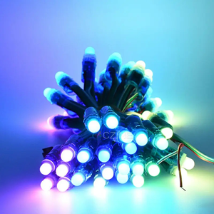 WS2811 Digital 12V 24V IP68 Bullet Pixel LED 12mm Full Color Addressable 1903 Wholesale RGBIC RGB Module Smart LED String Lights