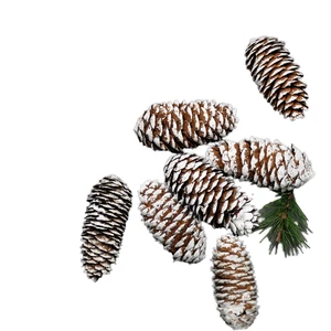 Wholesale Factory Luxury Snowy Pine Cones Natural Mixed Size Frosted Christmas Decoration Craft Supplies Wreath Garland Filling