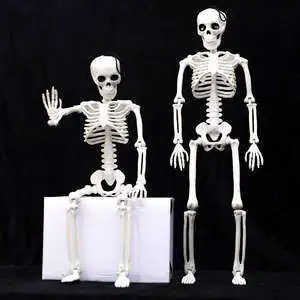 Adjustable Halloween Horror Ornament Pumpkin Human Skeleton Party Decoration Supplies