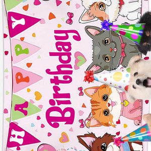 Flower Balloons Happy Birthday Backdrop Banner Girls Birthday Party Decorations for Halloween Chinese New Year Fabric Material