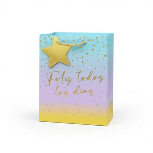Modern Plastic Gift Bag for Party Favors Events