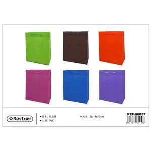 PVC Gift Bag 22x18x7.5cm Party Supplies Item for Festive Occasions