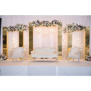 Luxury Modern Gold Metal Wedding Backdrop Arch Beautiful Stage Decoration for Party Events Carton Packed Birthday Iron