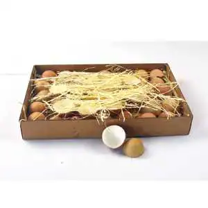 Hot Selling Beautiful Goose Eggshell Easter Eggs for Decoration
