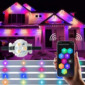 2025 New 12V Pixel LED Outdoor Christmas Lights UCS2904 IP68 Holiday Lights with for UL Certification for Houses