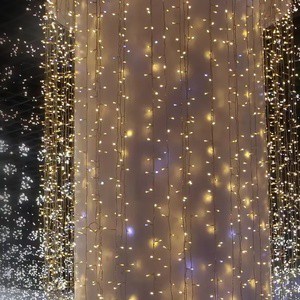 Holiday Decoration Led Light for Wedding Christmas Party
