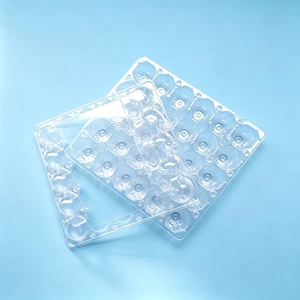 Wholesale 20/30 Holes Transparent Two-piece Plastic Egg Container Removable Lid Plastic Egg Carton Tray For Agriculture Use
