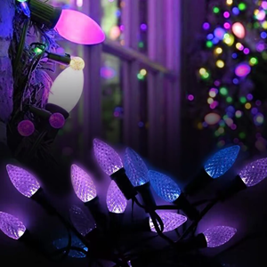 SHIJI Outdoor Waterproof 12V WS2811 LED Strings Light Full Color C9 12V Led Bulb for Christmas Holiday Lighting
