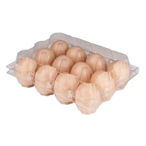 Wholesale Clear Disposable Blister Chicken Egg Packaging Box Portable Quail Egg Container Carton Plastic Egg Tray 12 Pack