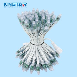 High Quality PVC Fairy Decorative 12mm IP67 Waterproof LED Pixel Light Outdoor Christmas Lights String Festive Party Garden