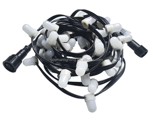 12v 0.15W Programmable SPI Control 12mm Outdoor Rgb Led pixel Light for Christmas Decoration