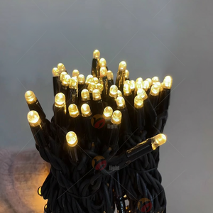 Home Room Wedding Party Decoration String Light Permanent Outdoor Waterproof Holiday Led Fairy Decorative Christmas Light