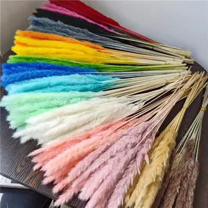 Dried Pampas Grass Reed Handmade Beige Preserved Flowers Bouquet Home Wedding Table Vase Decoration Fast Delivery Wholesale