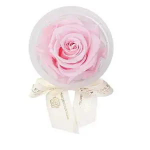Eternal Rose Personalized Party Supplies Customized Party Favors for Your Special Occasion