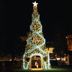 Commercial Outdoor Waterproof Giant Walkway Christmas Tree Standing Artificial Metal LED Glowing Christmas Tree