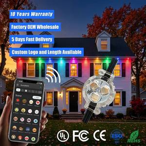 30MM IP68 Permanent Outdoor Christmas Decorative Lighting 12V 24V 36V Rgbw 3 Led Point Light Source for Building Eave
