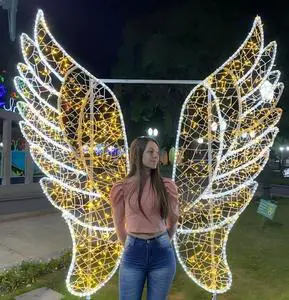 Commercial Outdoor IP65 Waterproof LED Themed Photography Lights For Garden Indoor Festival Display Custom Photo Area Decoration