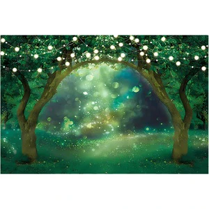 Customized Photography Props Background Picture Studio Supplies Indoor Photography Background Wall Background Cloth