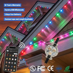 12V 24V 36V IP68 Rgbic 3 Led Point Light Source UCS2904 House Outdoor Holiday Decoration Christmas Lighting for Residential