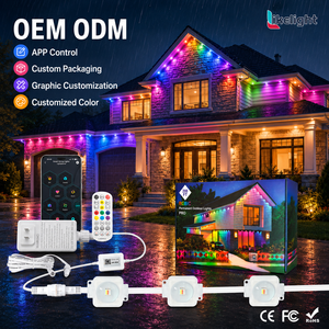 Outdoor 35x30mm WS2811 RGB Permanent Christmas Lights DC24V IP67 SMD5054 LED Point Light for Villa House Eave Roofline System