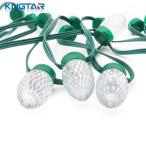 New Design C9-F2 Digital RGB LED Pixel Light String IP68 Strawberry Head Shell Christmas Lights Decorative Landscape Lighting