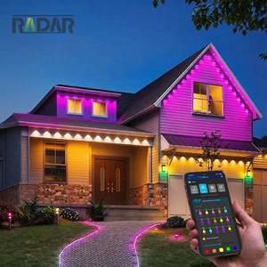 Permanent Outdoor Holiday Lighting RGB Color Led Point Light For Decoration