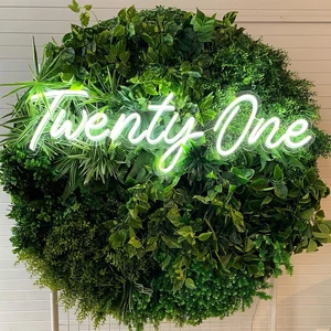 LED Neon Light Sign Custom Logo Wall Mounted Business Decor Neon Sign For Pub