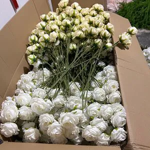 Factory Bulk Wholesale Artificial Single Velvet Roses Flower Red White Blue Pink Black Purple Custom Rose Decorative Flowers