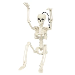 Halloween Skeleton Full Body Plastic Movable Joint Human Bones Hot Selling NEW ARRIVAL for Outdoor Halloween Party Decorations