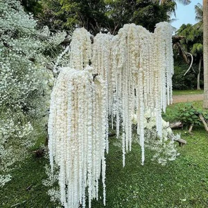 Preserved Wedding Wall Decorations Hanging Dried Flowers Natural Plants for Breathtaking Ambiance