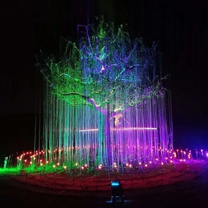 Vibrant RGB Color Changing Outdoor Fiber Optic Light Waterproof Landscape Decoration for Tree Park Holiday Ambient Lighting