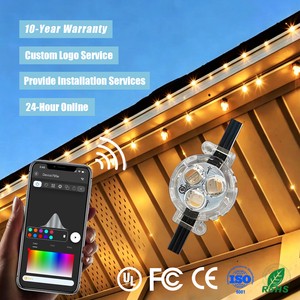 12V 24V 36V IP68 Outdoor Permanent Christmas Lighting 200ft 300ft 500ft Gemstone Rgbw 3 Led Point Lights for House