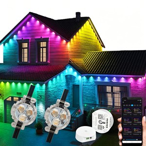 12V 24V Smart Home Decoration Permanent Christmas Lighting IP68 Waterproof Rgbw Outdoor Pixel Point Light