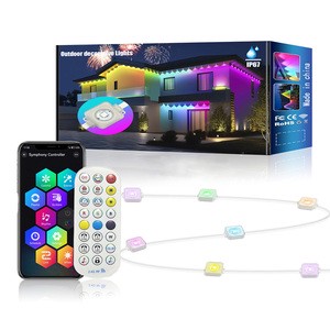 Twinklight 50FT 100FT 12V 24V 36V 48V APP Control Christmas Decoration Led Pixel Permanent Outdoor Lighting Point Lights RGBW