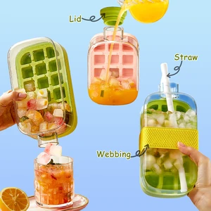 2 in 1 Ice Water Drink Bottle Custom Summer DIY Storage Box Iced Fruit Drinks Ice Cube Maker Bottle Cooling Mold with Straw