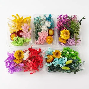 Preserved Flower Material Box Mixed Mini Dried Flowers Epoxy Resin Nail Art Jewelry DIY Craft Bulk Boxed Supply Valentine's Day