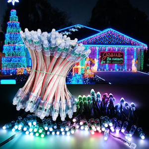 SHIJI Outdoor Waterproof Christmas Decoration 5V 12V 12mm Smart LED Point Light WS2811 UCS1903 Pixel Module RGB LED Pixel Light