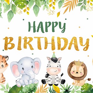 Printed Birthday Party Banner Hanging Decorations for Party Design Supplies for Decorative Party Banners