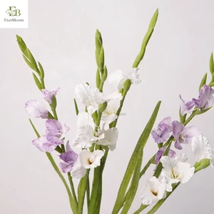 High Quality Soft Latex Artificial Gladiolus Orchid Flower Real Touch 86cm Handmade Home Wedding Graduation Christmas Decor