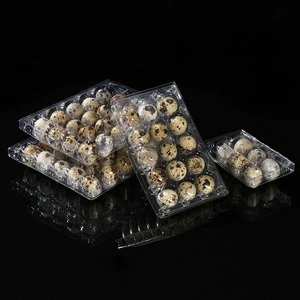 Wholesale Disposable Transparent Clear PET Plastic Clamshell Blister Chicken Egg Boxes Trays Quail Egg Tray Container Box
