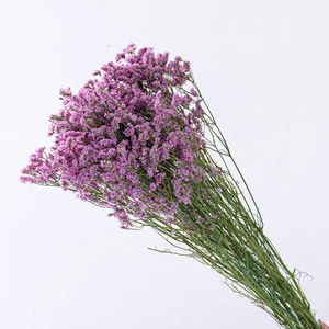 Wedding Centerpieces Table Decorations Dried Limonium Preserved Crystal Grass Dried Wedding Flower