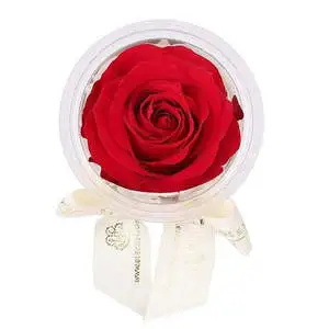 Mini Eternal Rose Party Favor Set of 4 for Valentine's Day Celebrations