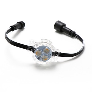 Gemstone Lighting Permanent Outdoor LED Pixel Lights RGBW 24V IP68 for Christmas Decorations House Landscape Lighting 150FT